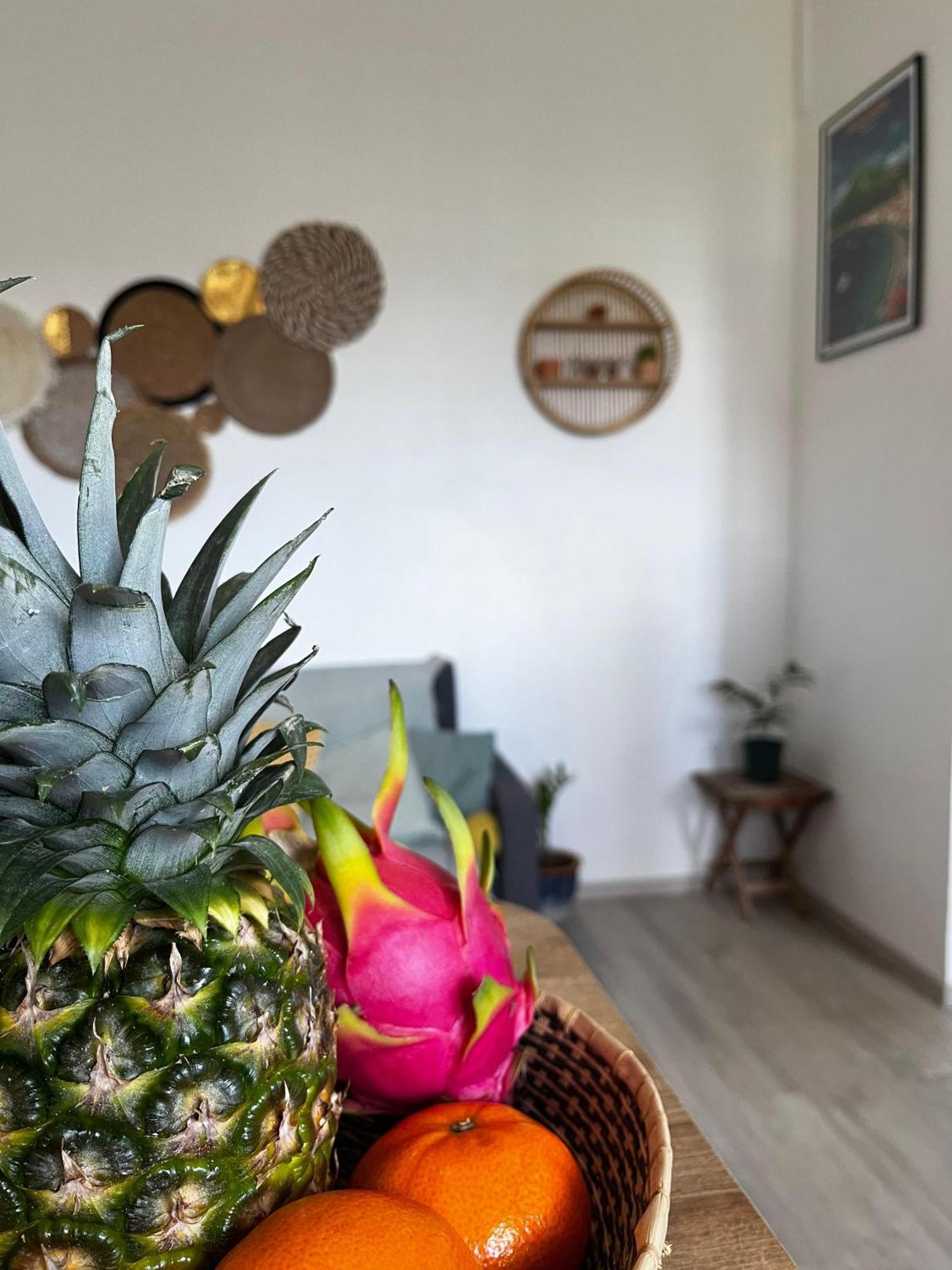 Cocon Des Alizes Apartment La Moise Luaran gambar